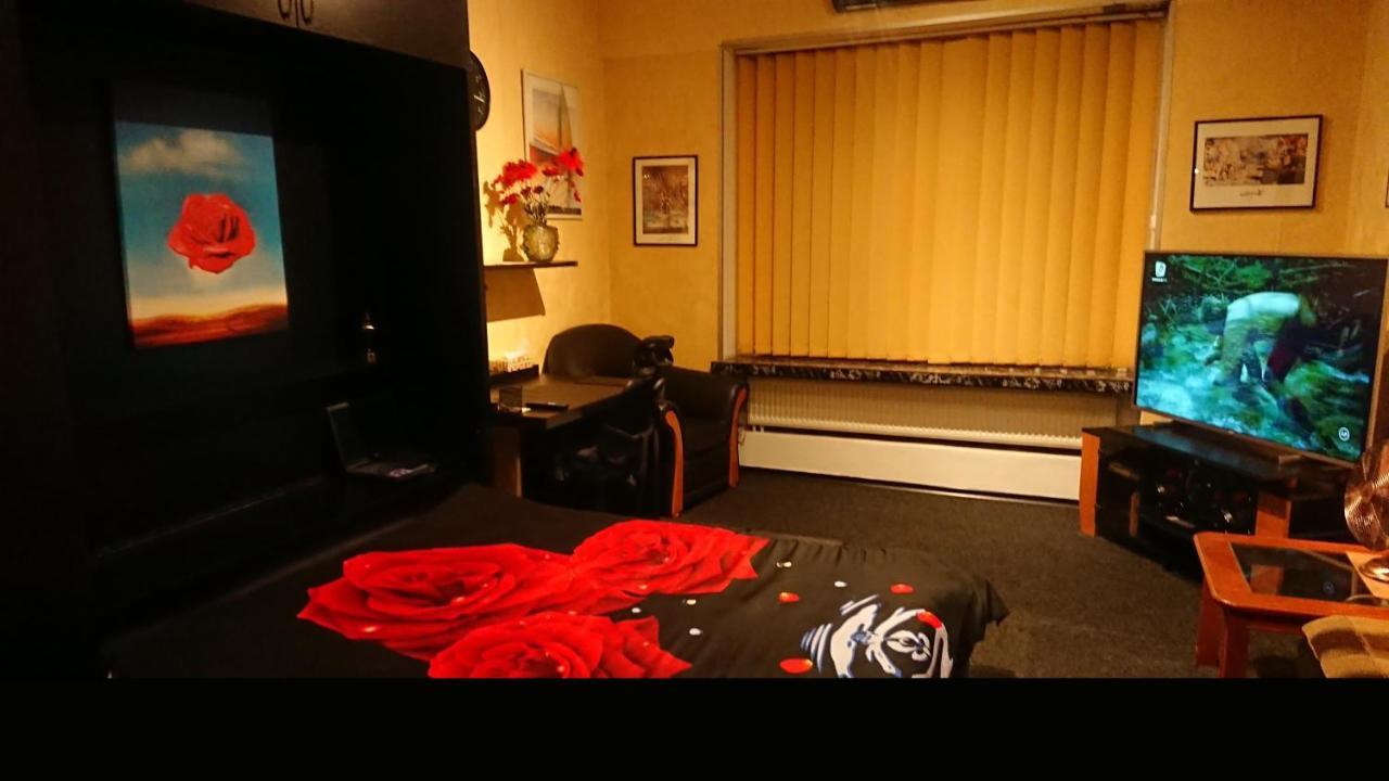 Rompromo Plus Accommodation Bükreş Dış mekan fotoğraf